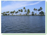 Kerala Backwaters